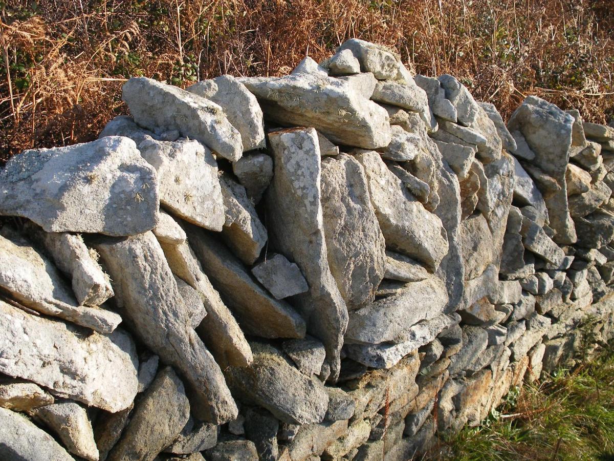Les Chambres D'Hotes Du Cosquer Beuzec-Cap-Sizun Bagian luar foto